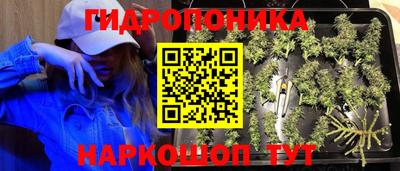 дмт Кинель