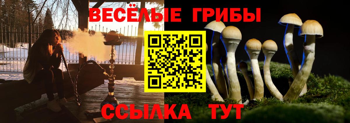 Псилоцибиновые грибы Magic Shrooms  Вход с VPN  Кстово 